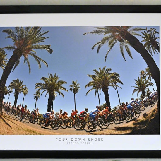 The peloton of the Tour Down Under pass through palm tress on Stage 1 of the 2010 edition of the race.