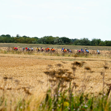 A group of riders together on the bank of the river Trent through a field of wheat during the 2024 Simpson Retro.