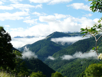 View down the Superbagnères climb from near the summit.