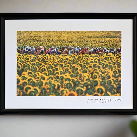 The peloton rides through a vibrant field of sunflowers during the 2000 Tour de France.