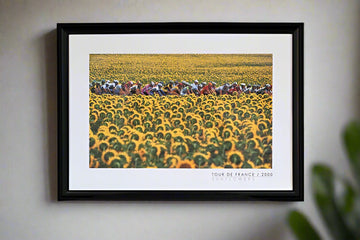 The peloton rides through a vibrant field of sunflowers during the 2000 Tour de France.