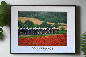 1996 Tour De France. On route to Valence from Bourg d'Oisans through the poppy field.